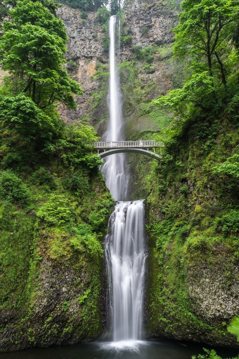 Nature - le pont sur la cascade