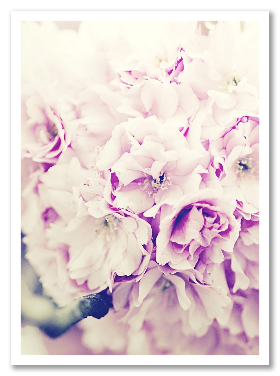 Fleurs - Bouquet de Roses