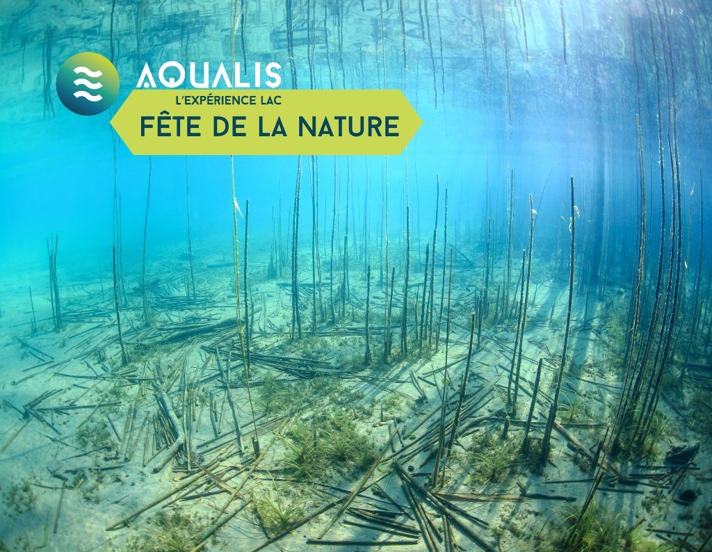 La Fête de la nature