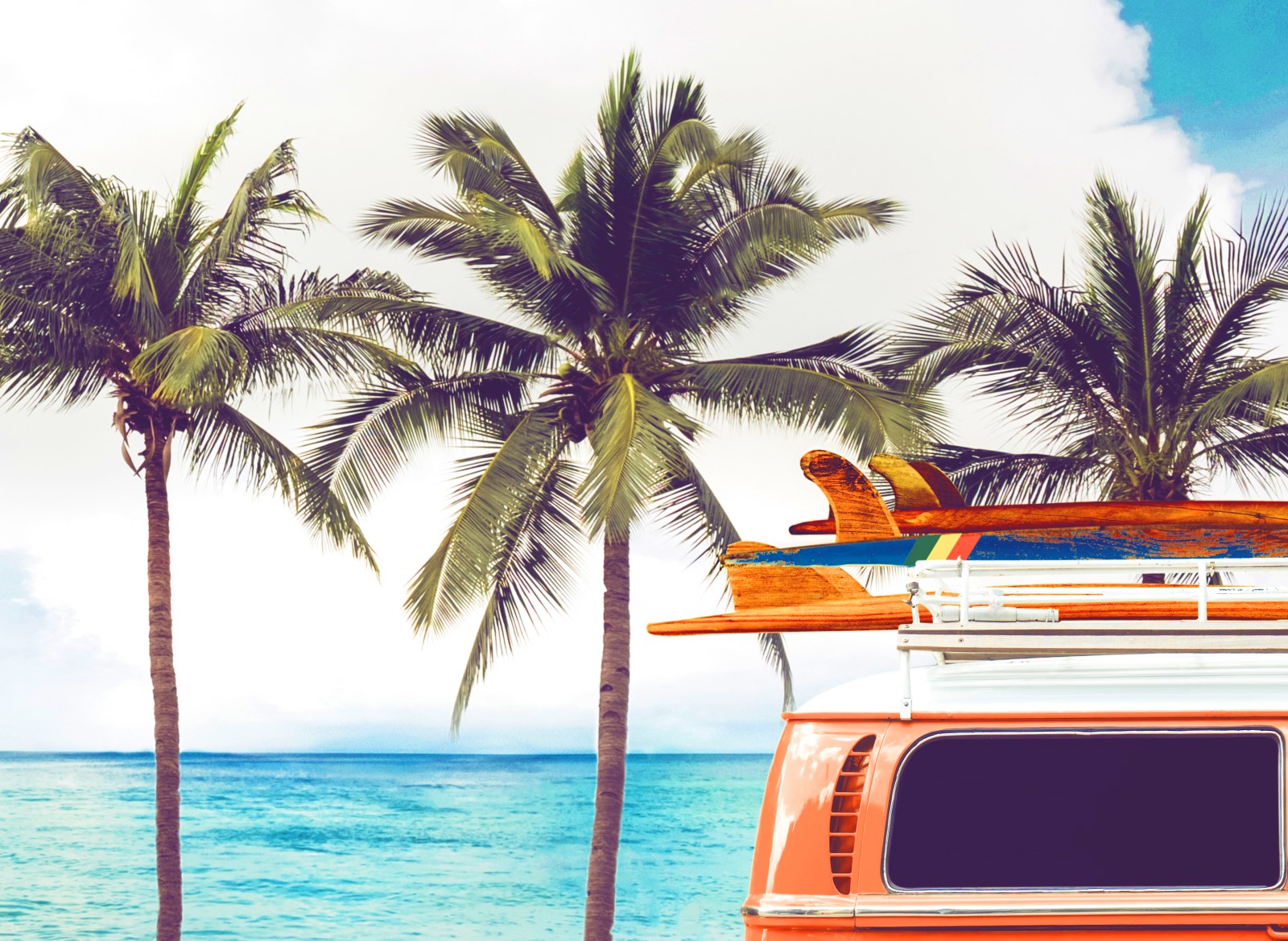 Nature - Van love story