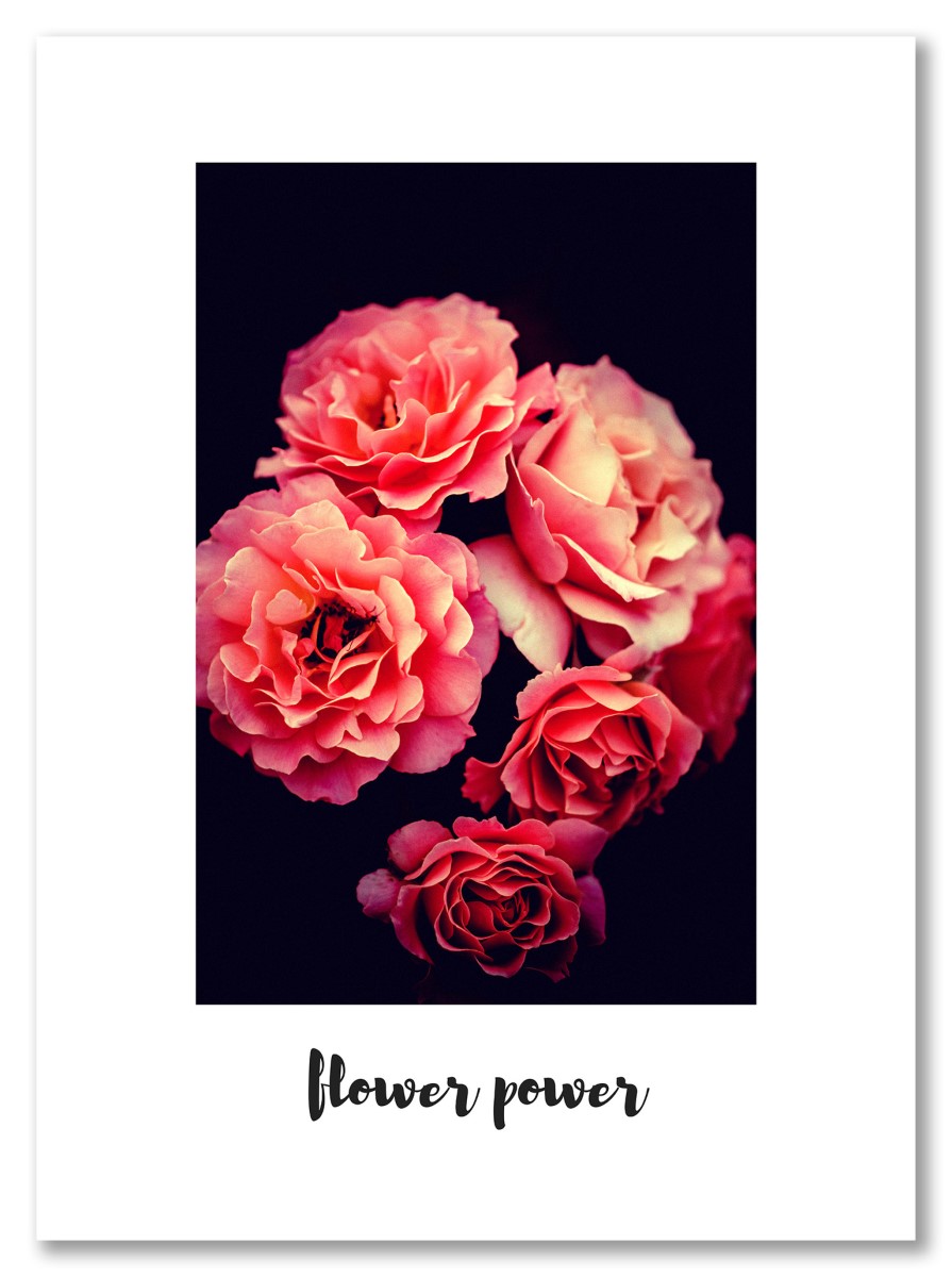 Fleurs - Flower Power