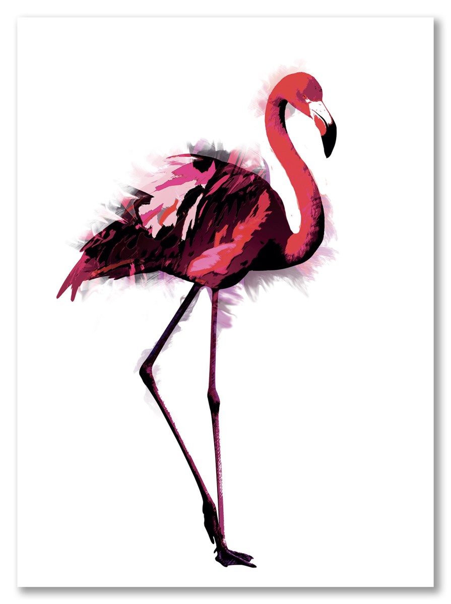 Animaux - Flamant Rose
