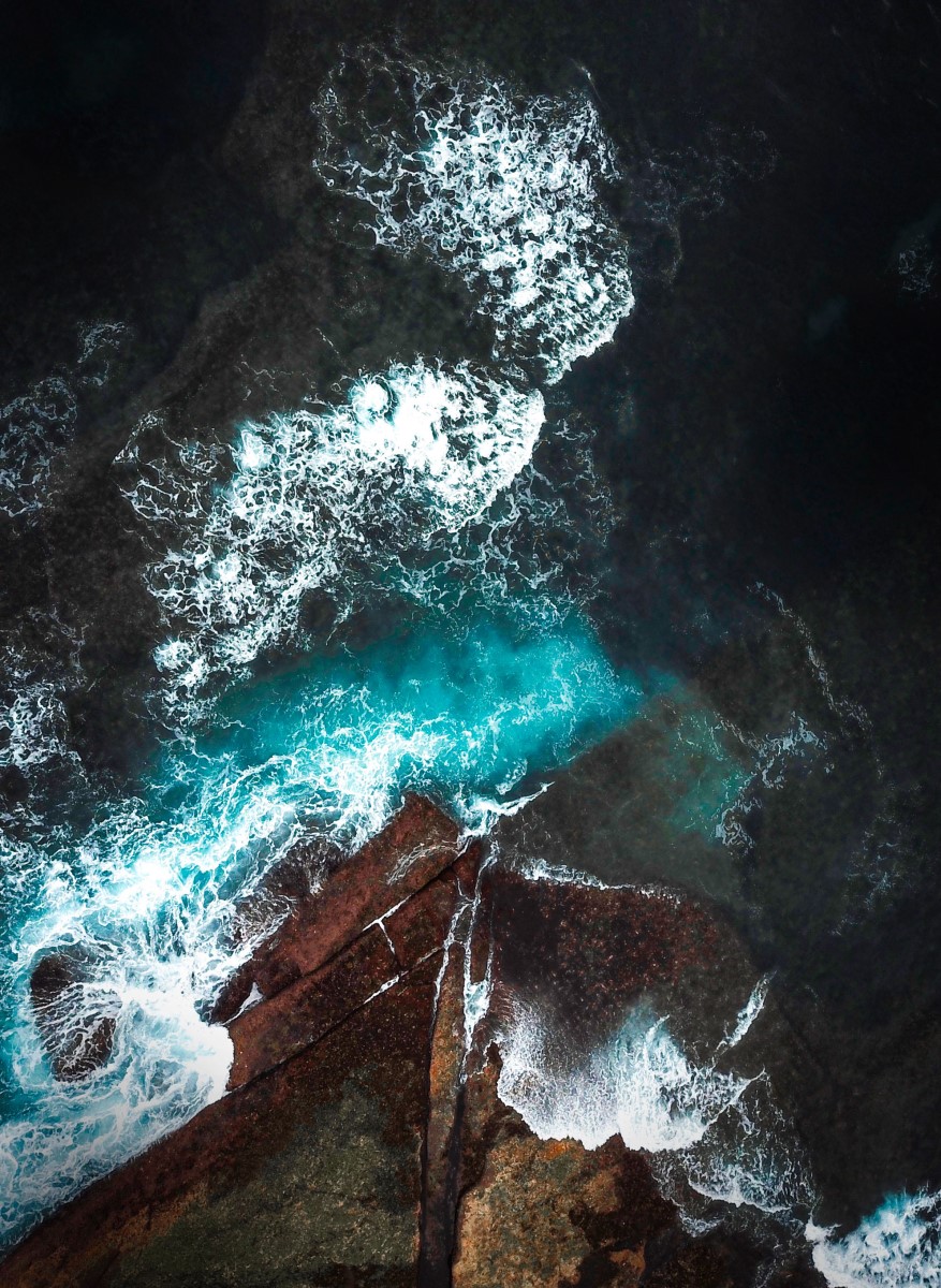 Nature - Curl Curl, Australie