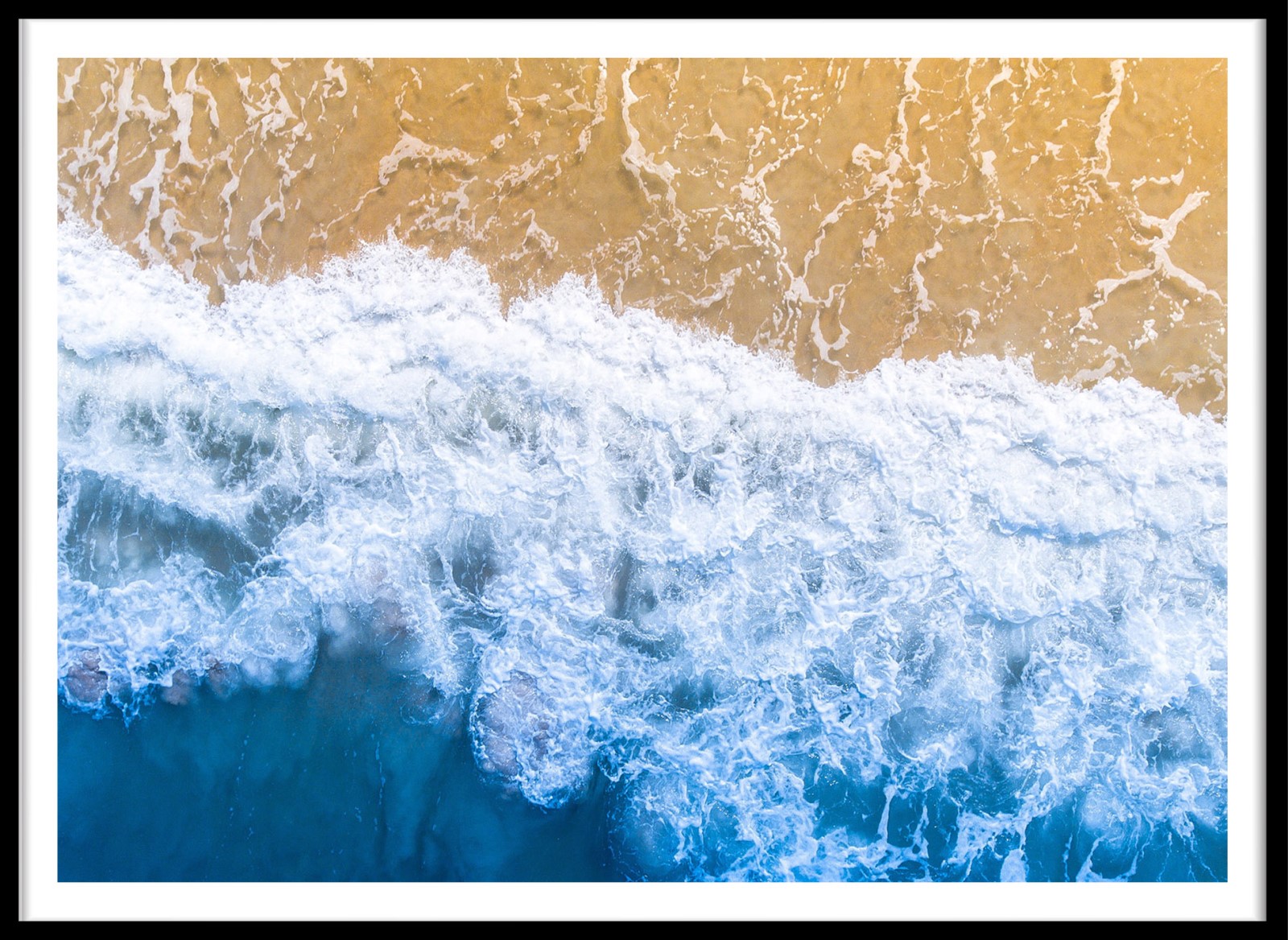 Nature - Palm Beach, Etats Unis