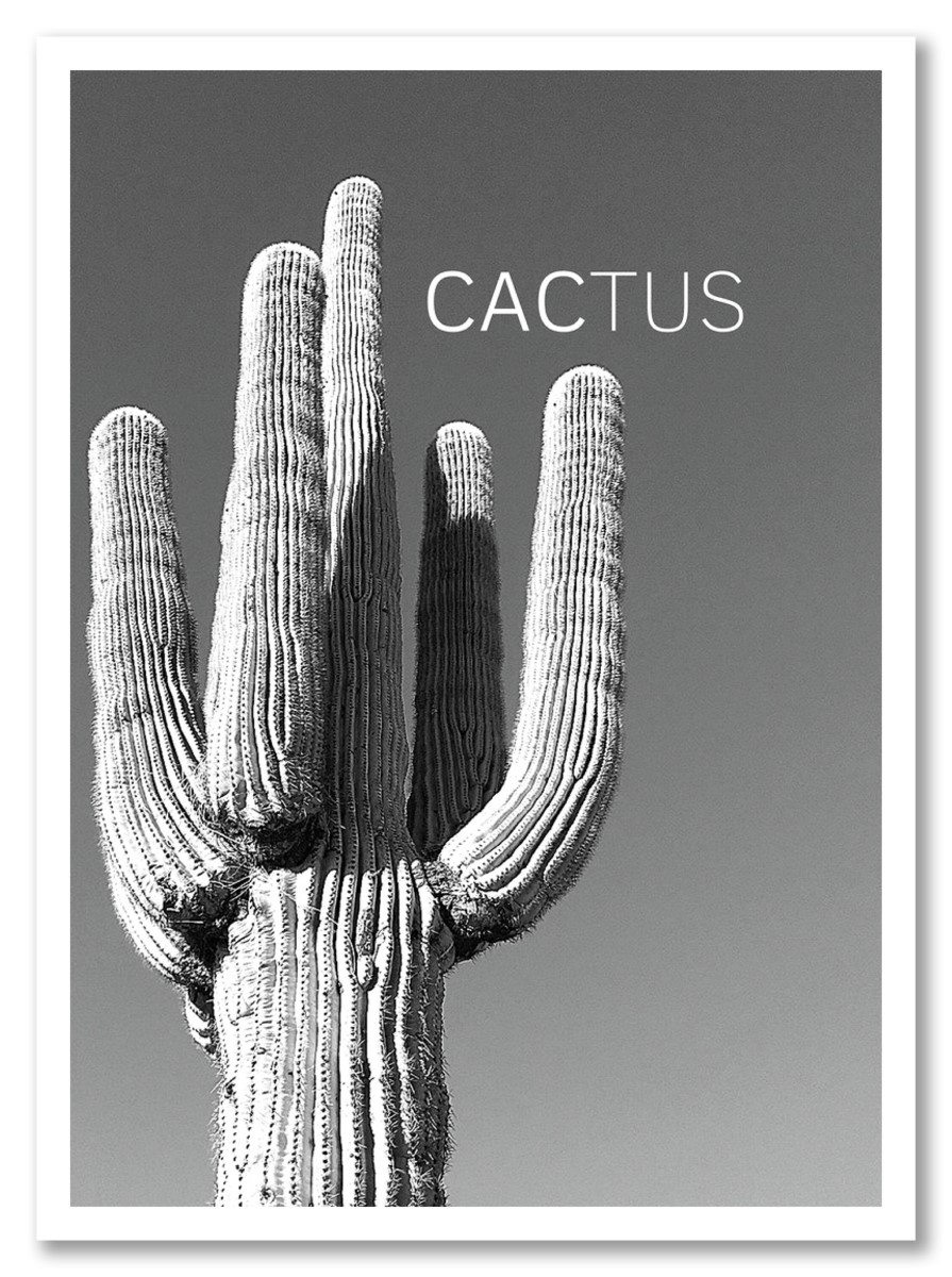Affiche Cactus Noir 