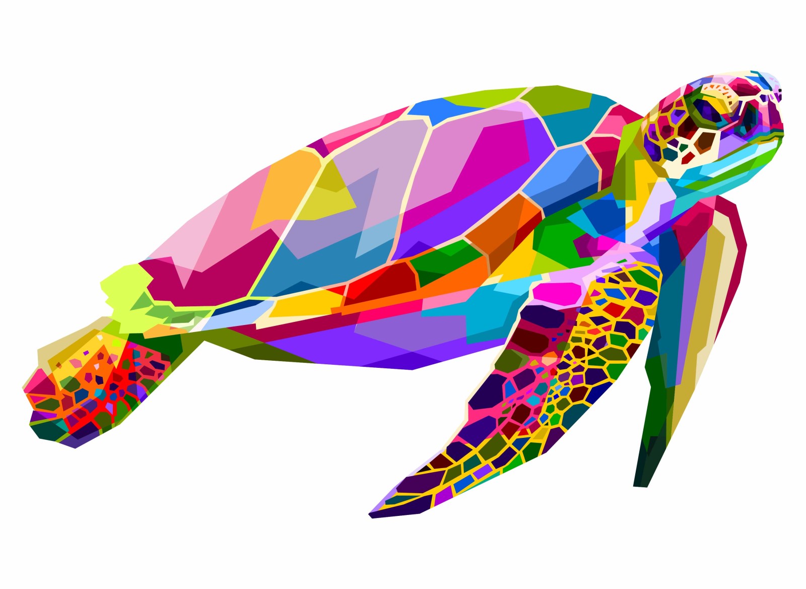 Street Art - Tortue Color