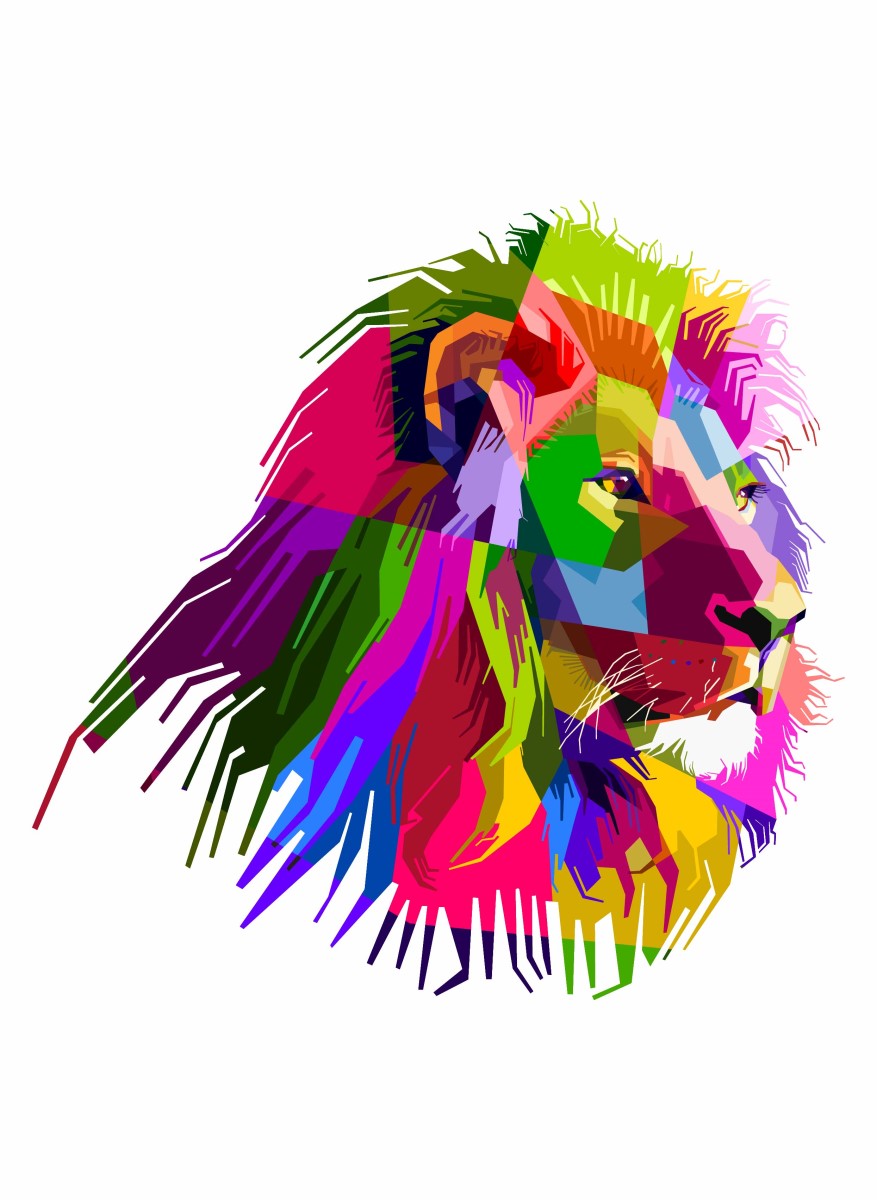 Street Art - Zebre Color