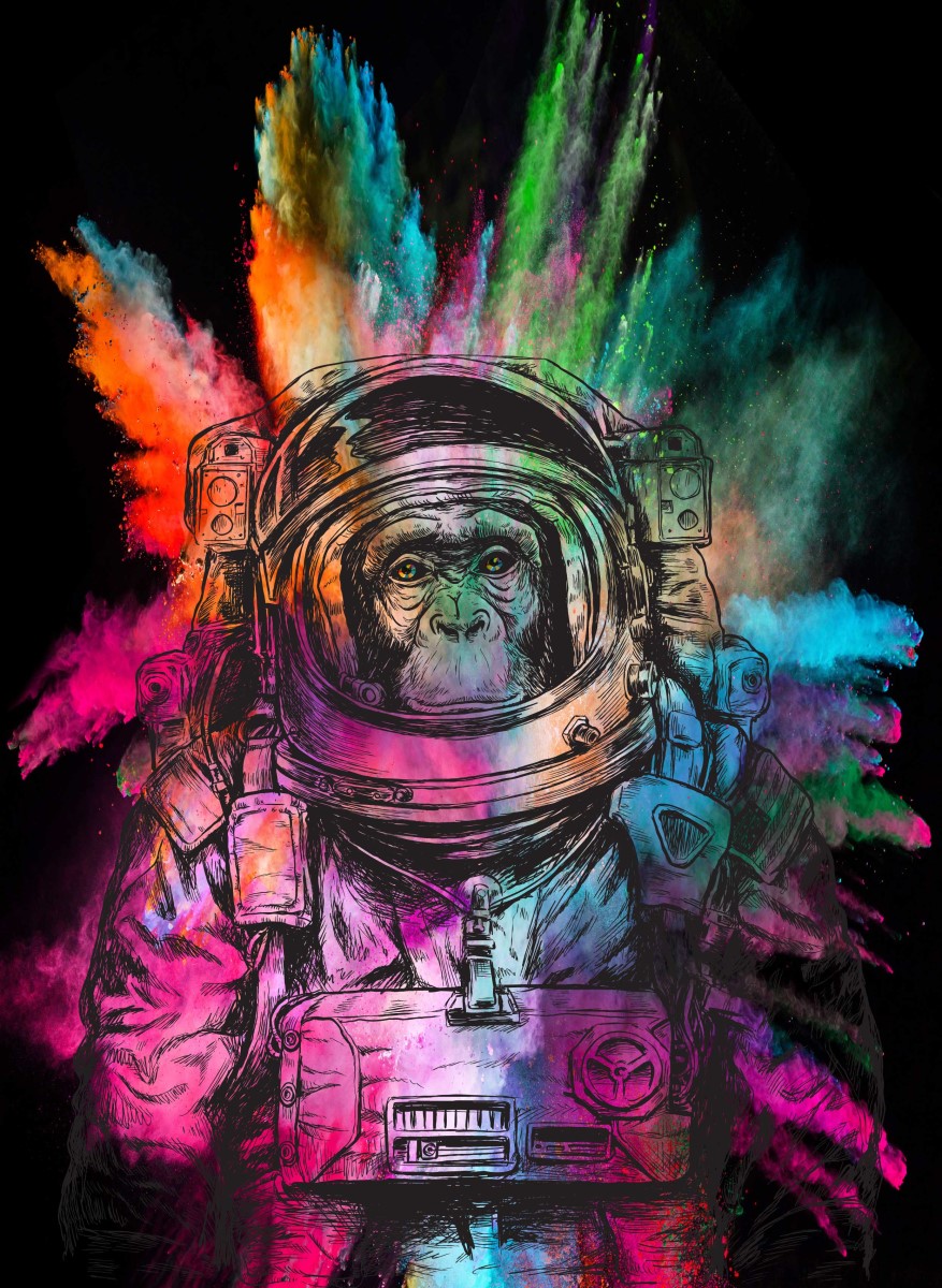 Street Art - Singe Astronaute