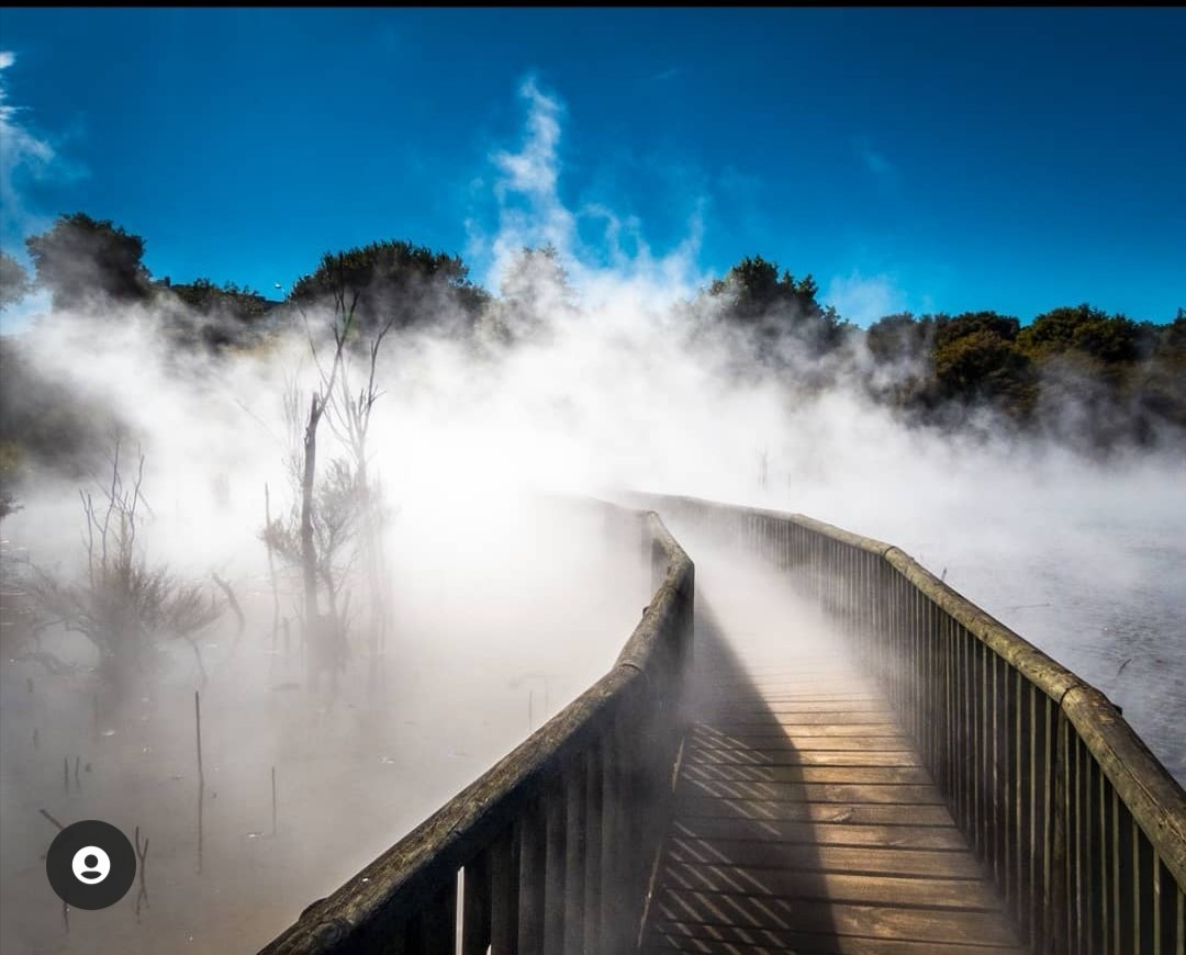 Les koalas randonneurs(Steven et Marion)