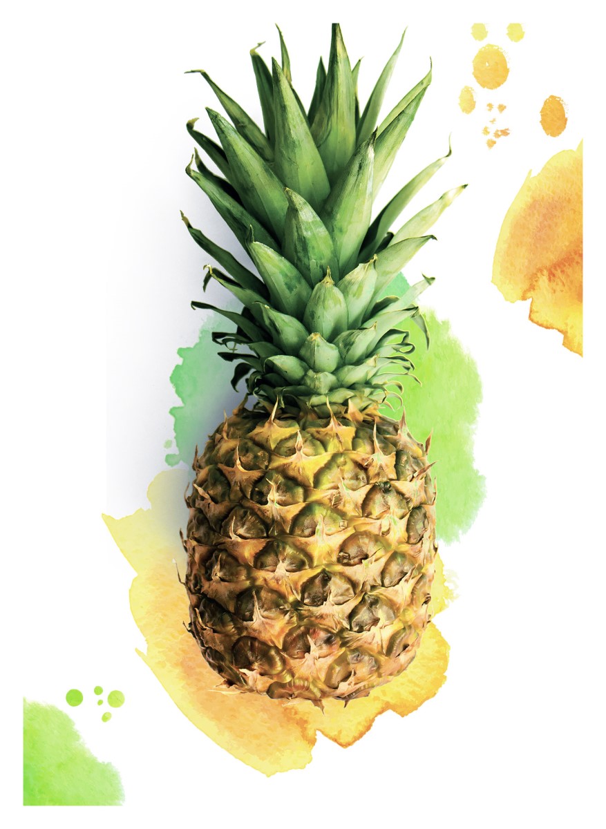 Nature - Ananas couleur