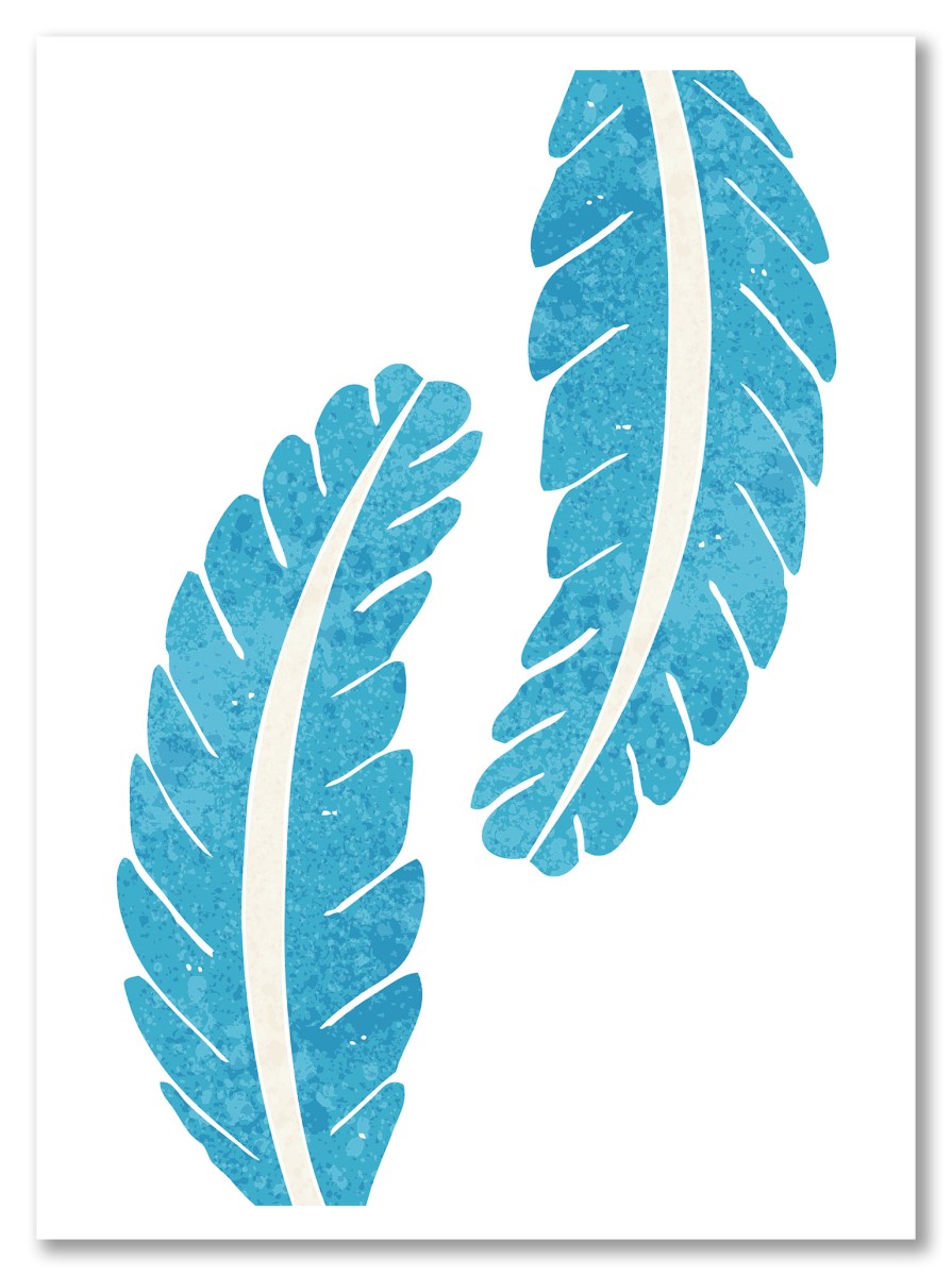 Scandinave - Plume duo