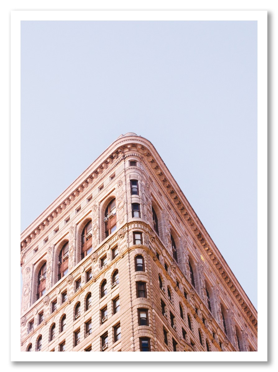 Architecture - Flatiron Building Rose