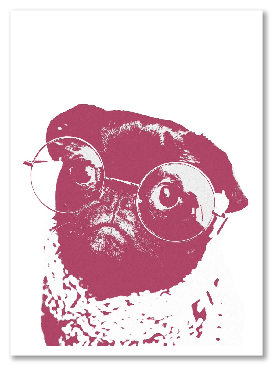 Animaux - Bulldog magenta