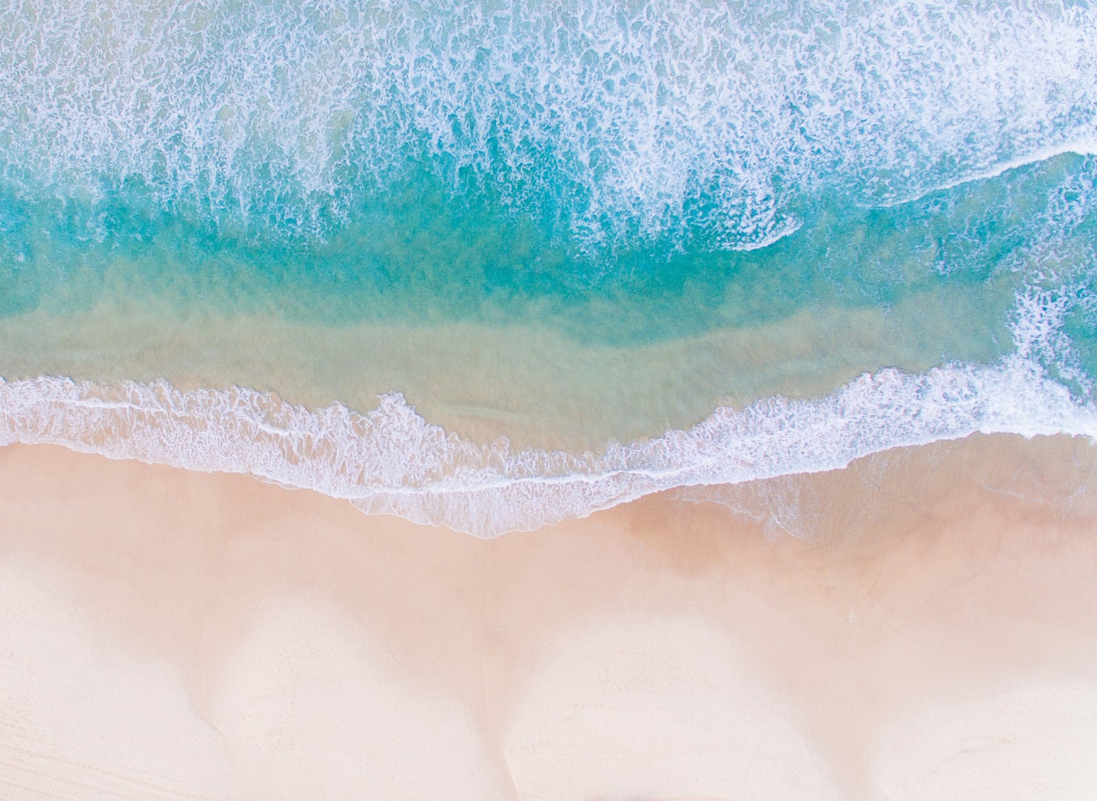 Nature - Bondi Beach, Australie