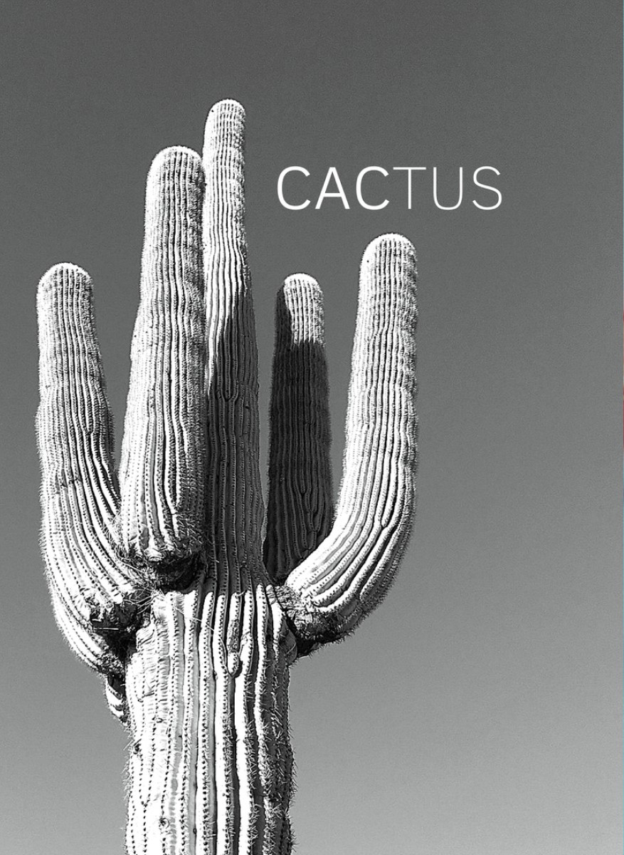 Nature - Cactus Noir