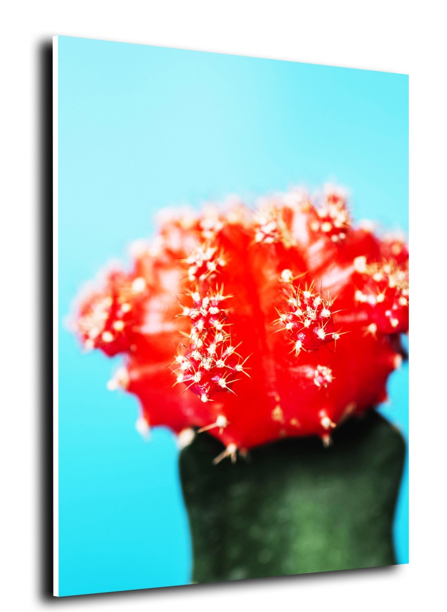 Cigarette - Philip Moris