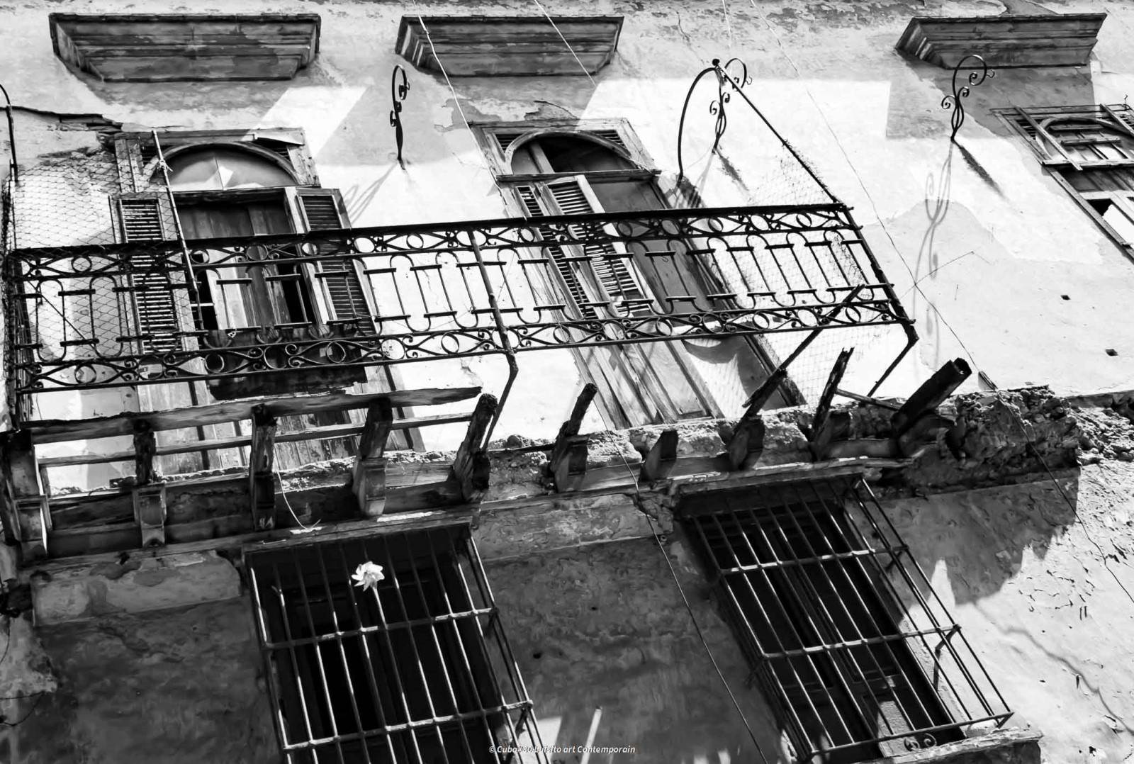 Luisito, Art contemporain 