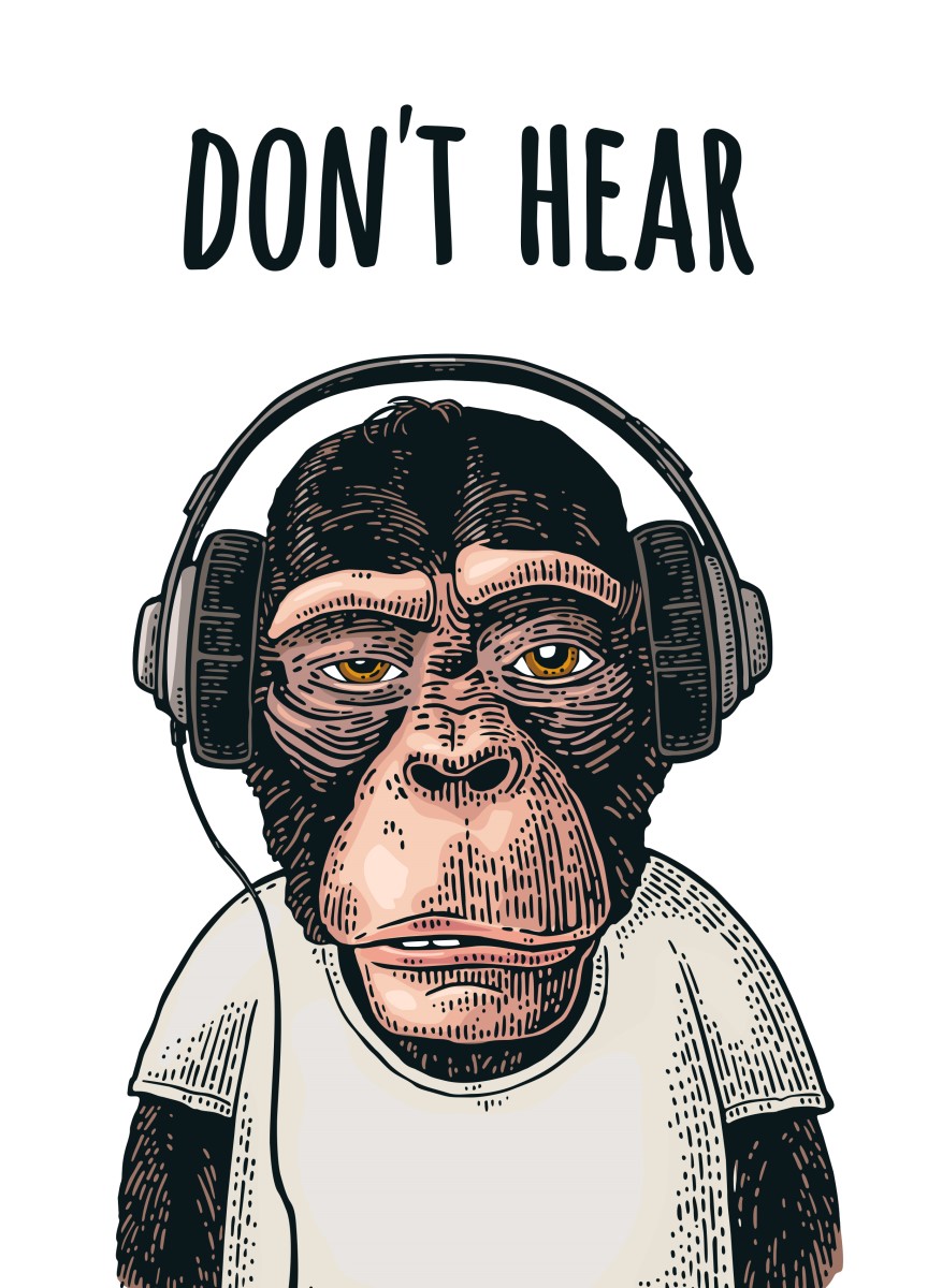 Street Art - Singe don