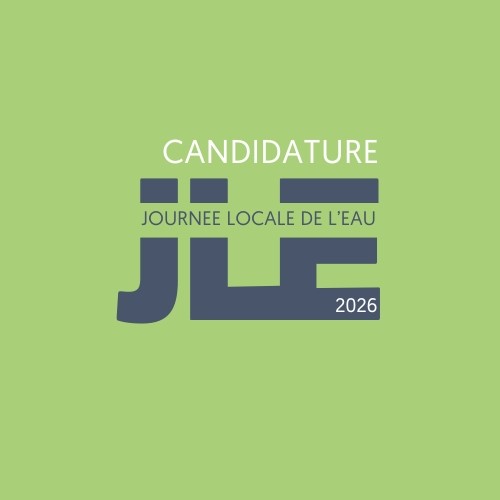 3. Candidature