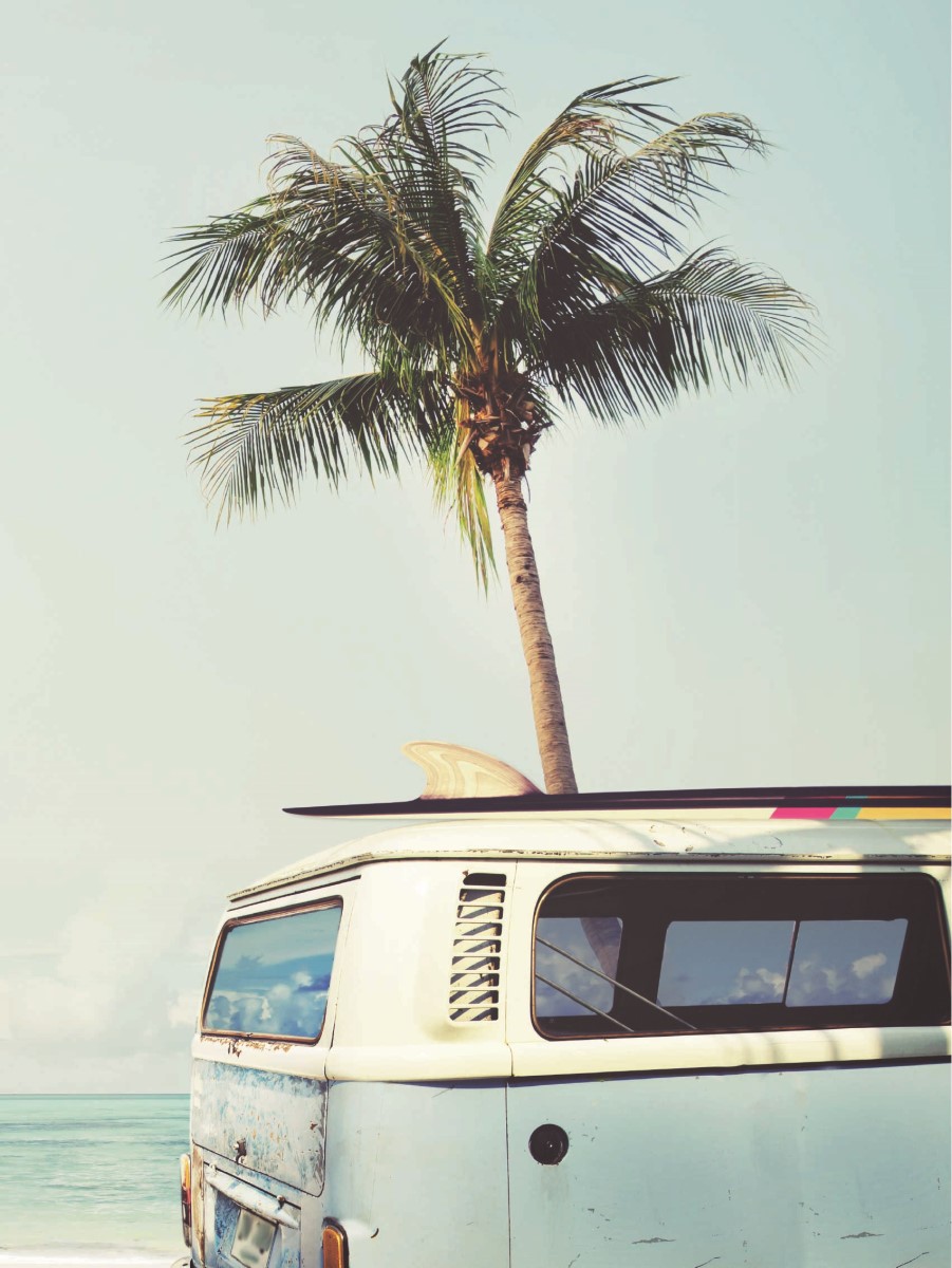 Nature - Van à la plage