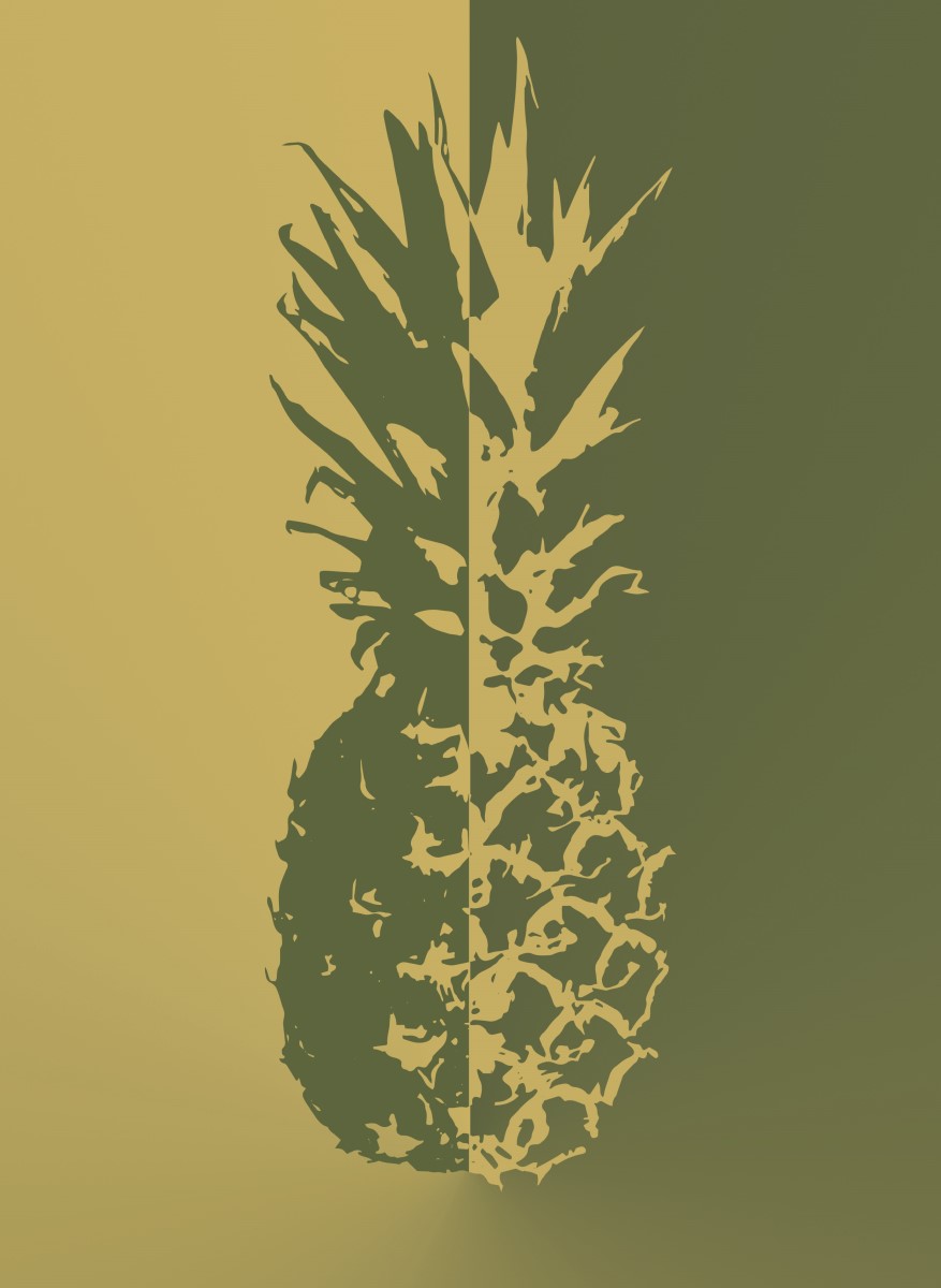 Nature - ananas bi-color