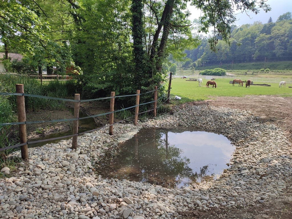 Nouvel abreuvoir à chevaux, protégeant le cours d'eau du piétinement