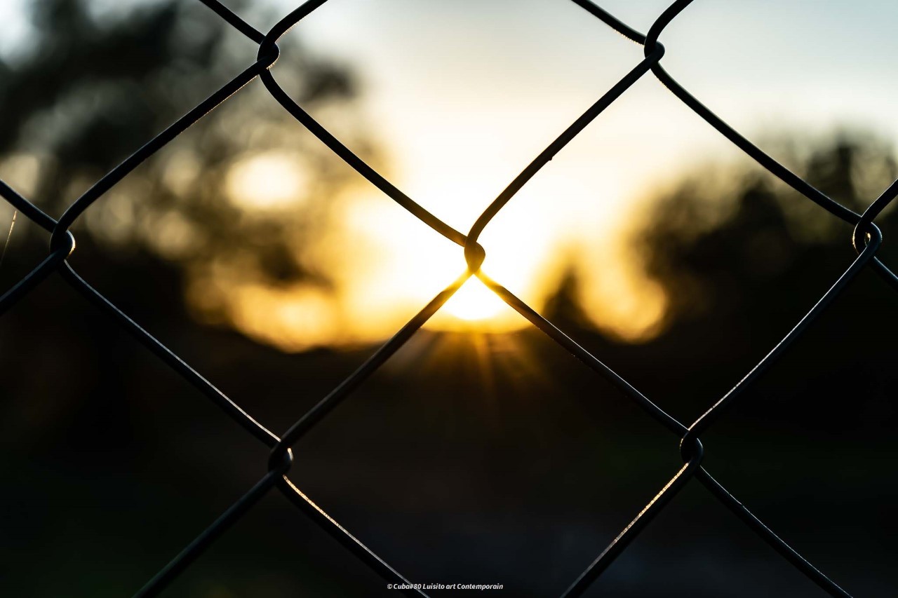 Luisito, Art contemporain 