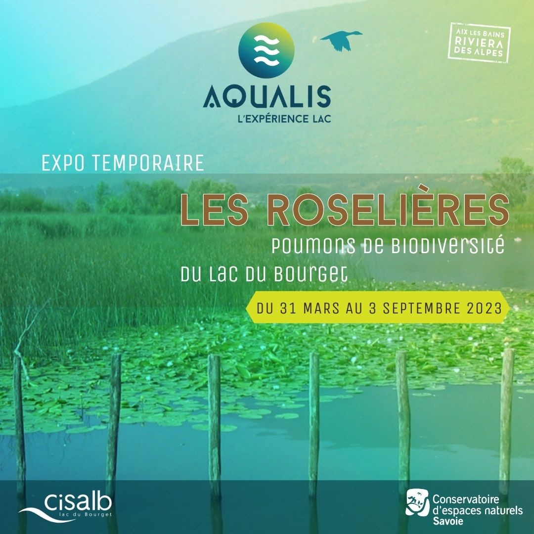 Aqualis - Expo temporaire 2023