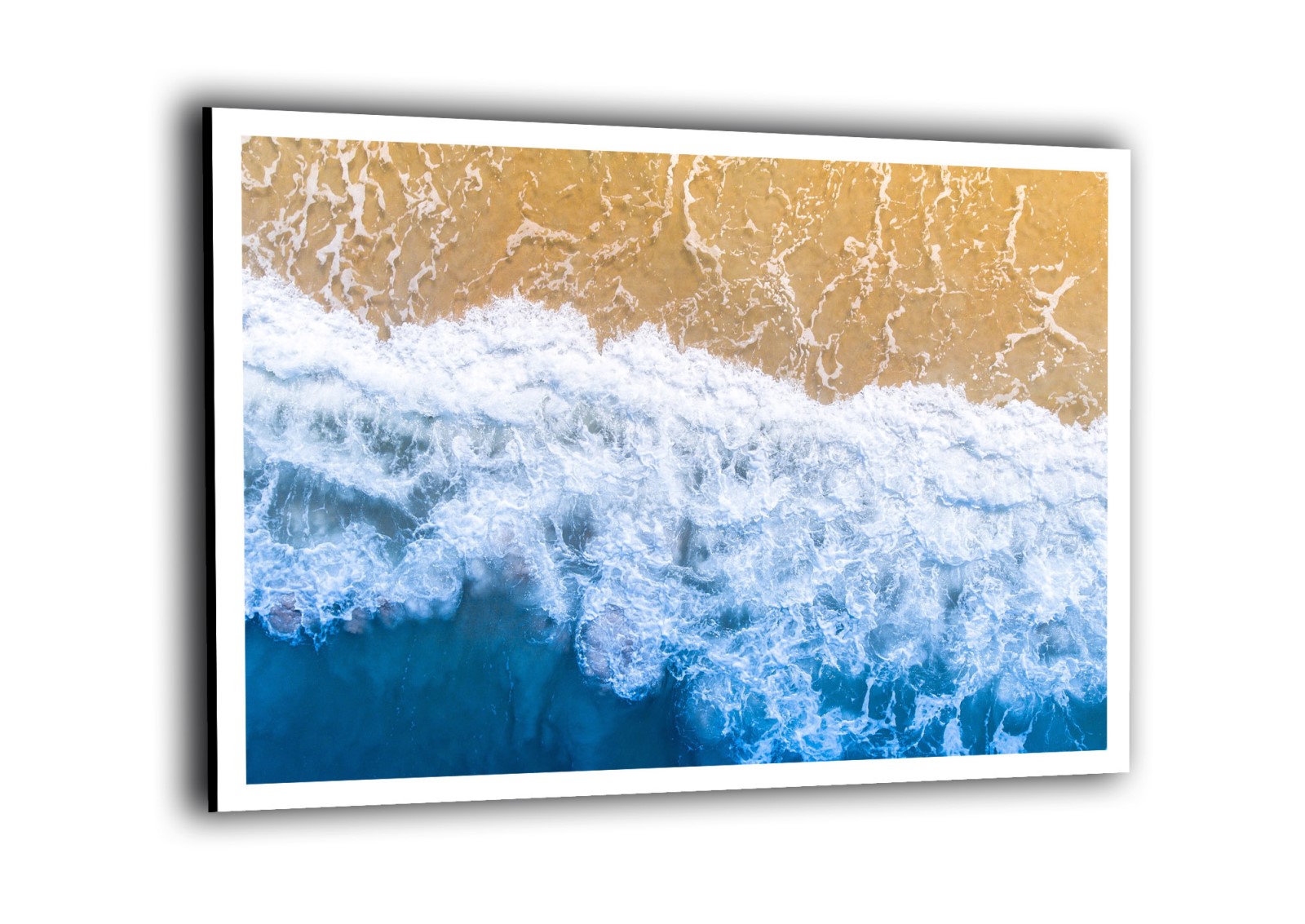 Nature - Palm Beach, Etats Unis