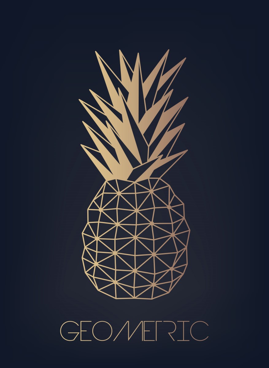 Nature - Ananas geometric