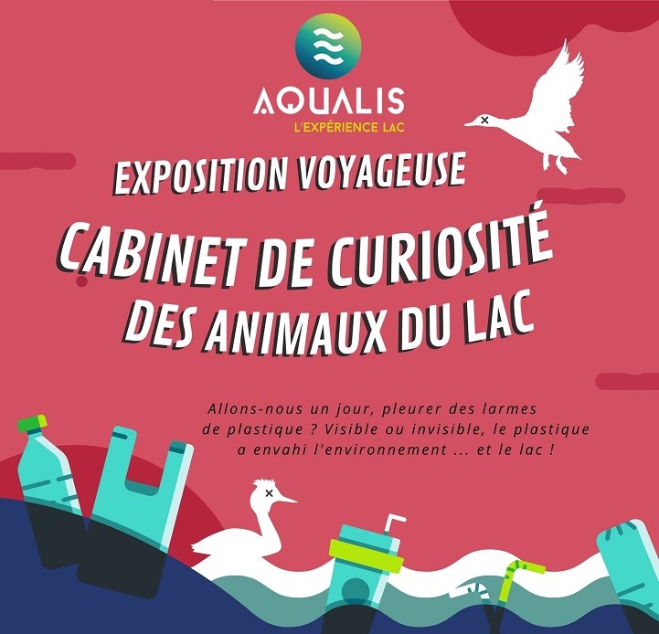 Exposition voyageuse - Cabinet de curiosité des animaux du lac 