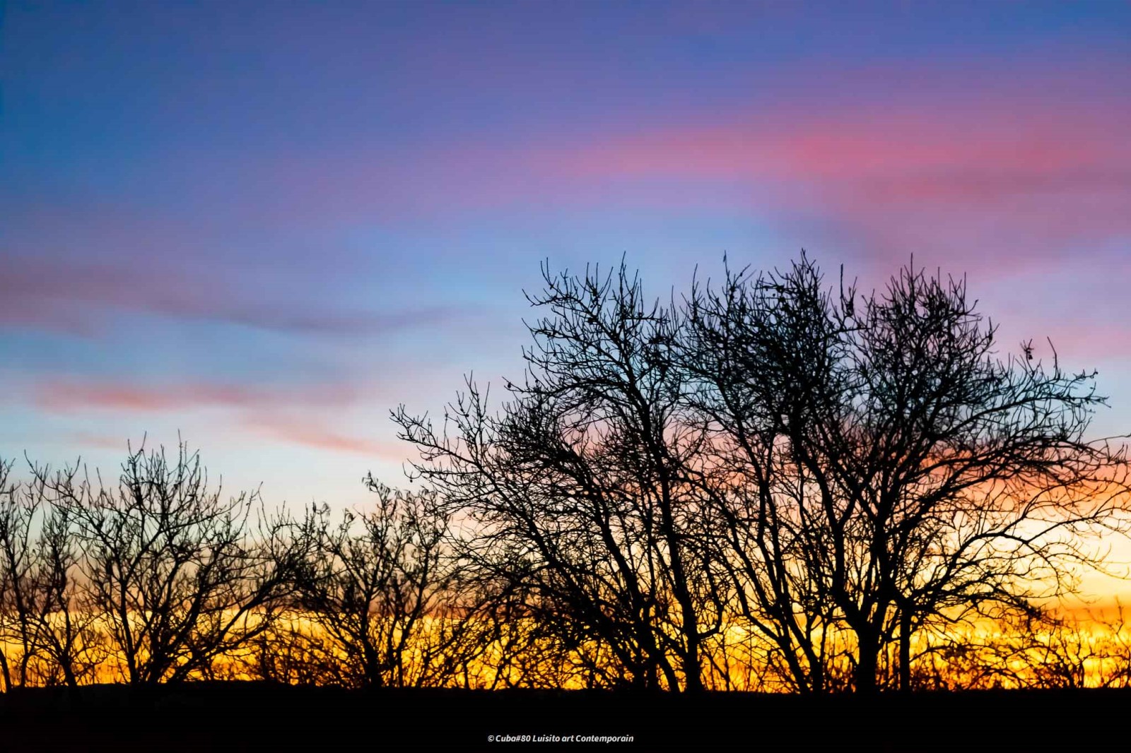 Luisito, Art contemporain 