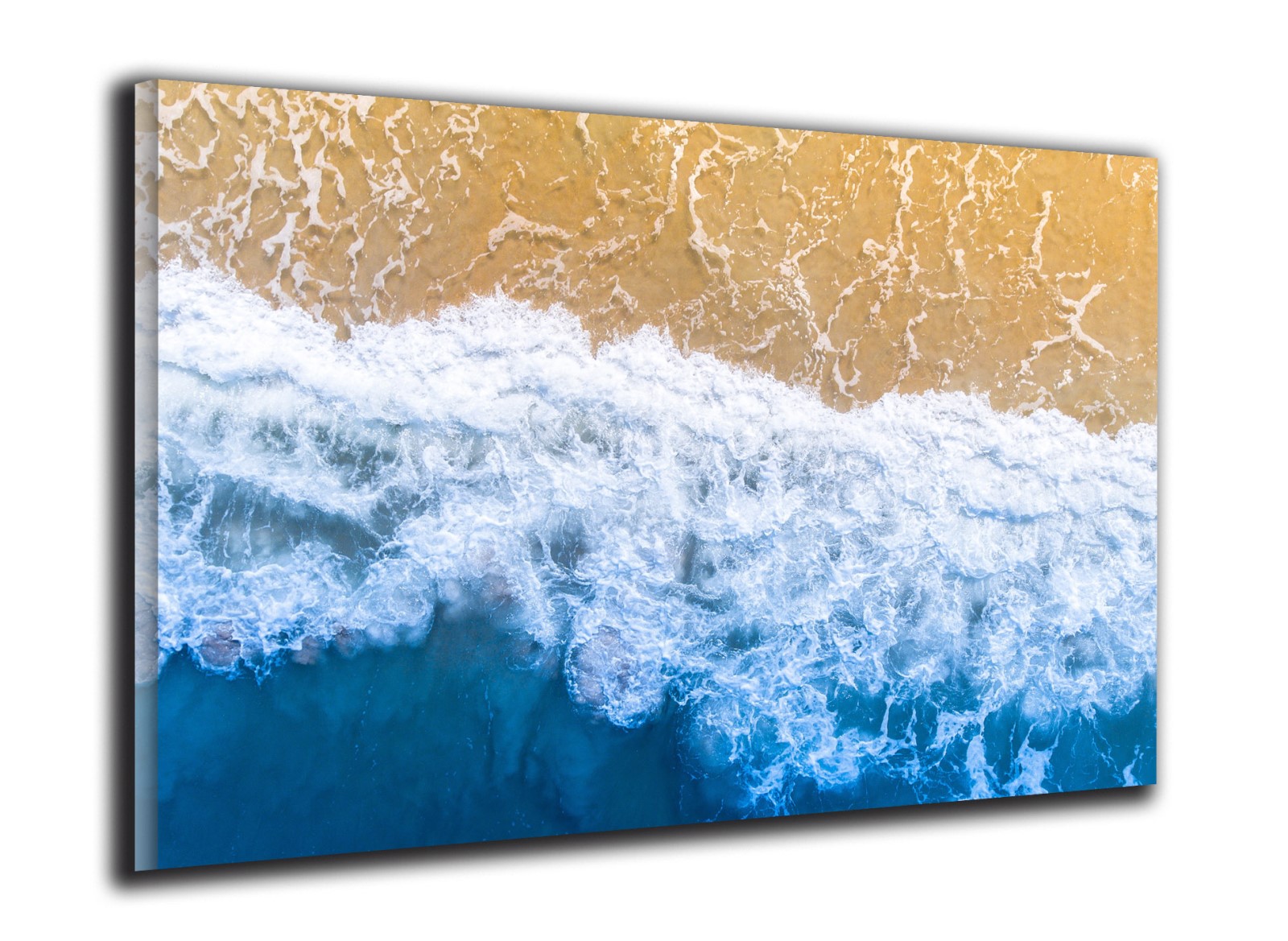 Nature - Palm Beach, Etats Unis