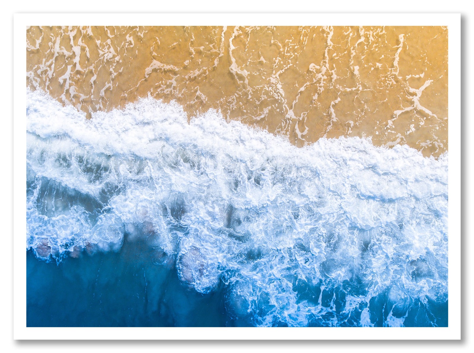 Nature - Palm Beach, Etats Unis