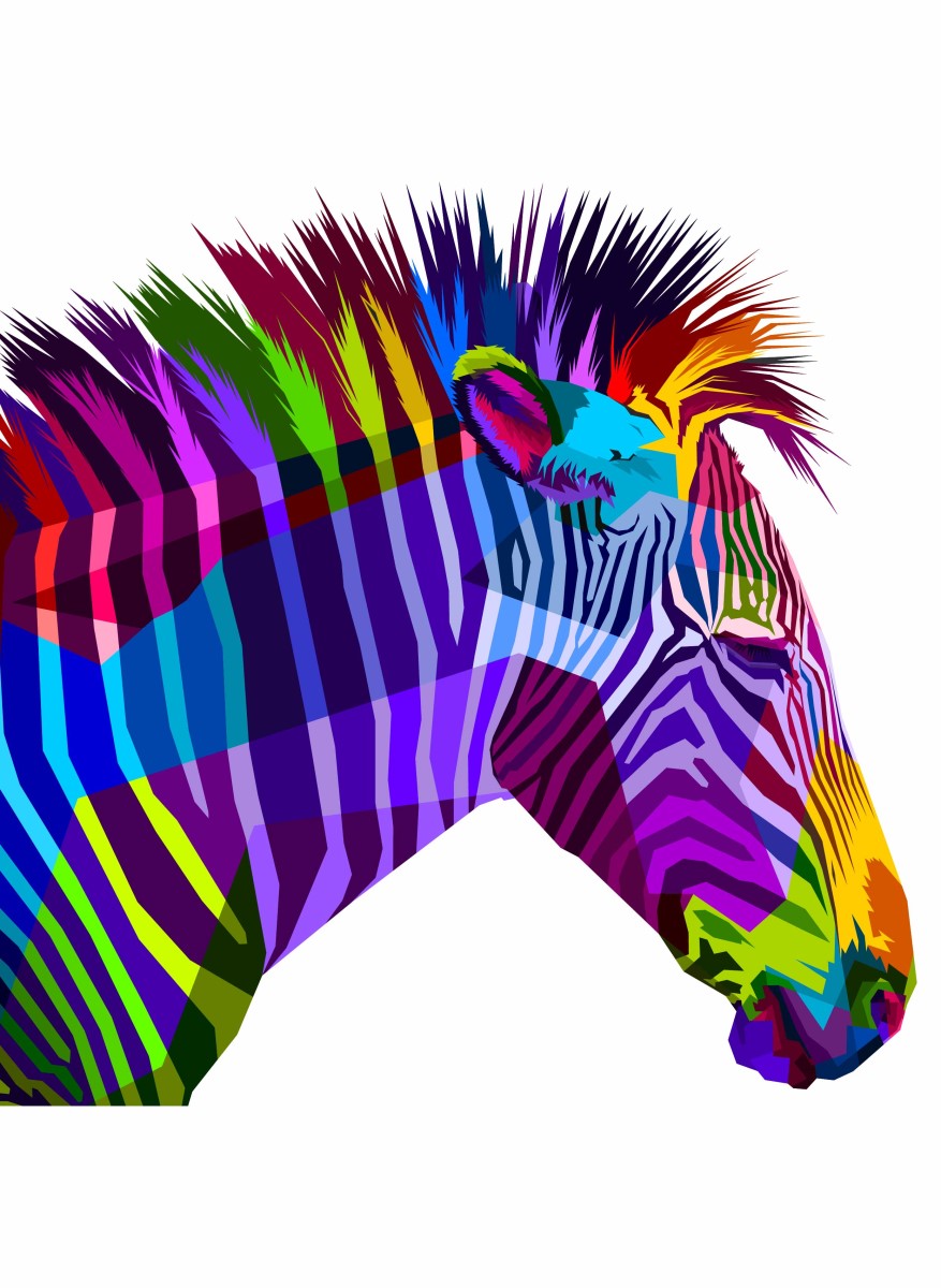 Street Art - Zebre Color