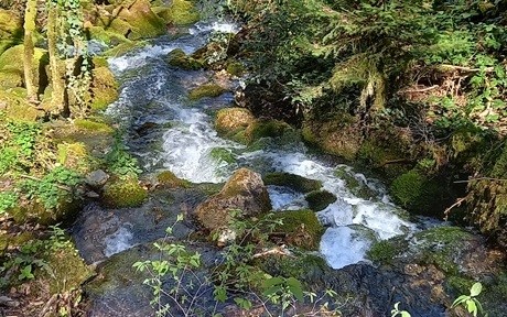 Le Nant Varon
