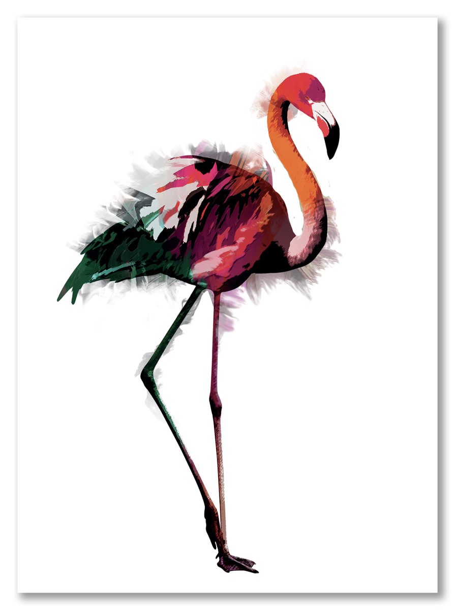 Animaux - Flamant Rose Multicolor