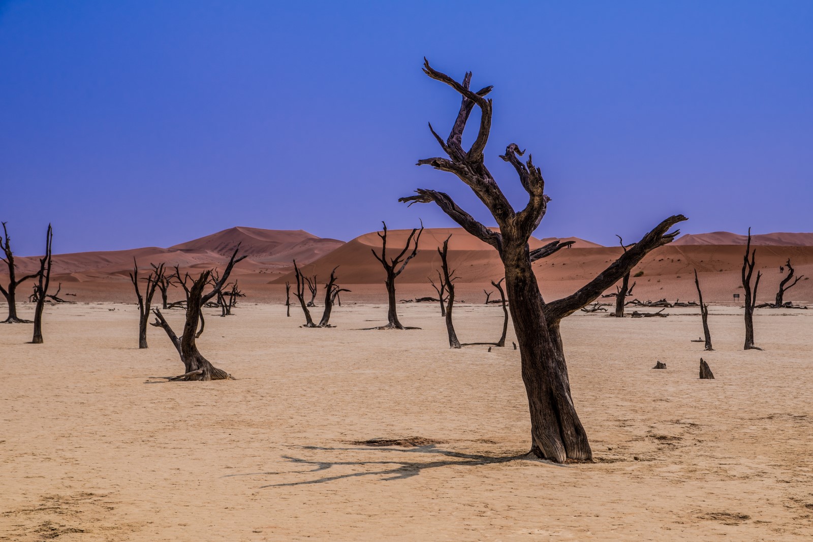 Alexis Marcellin - Sossusvlei