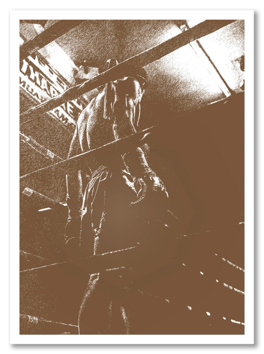 Sports - Boxeur Marron